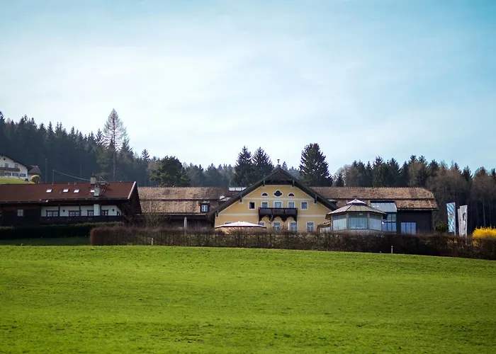 Ξενοδοχείο Reiteralm 3*